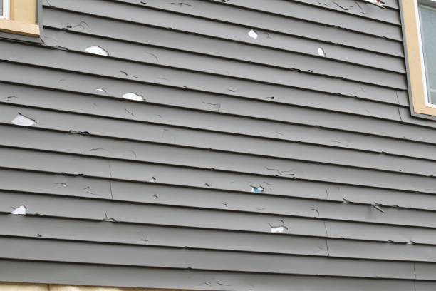Best Custom Trim and Detailing for Siding  in Cheboygan, MI