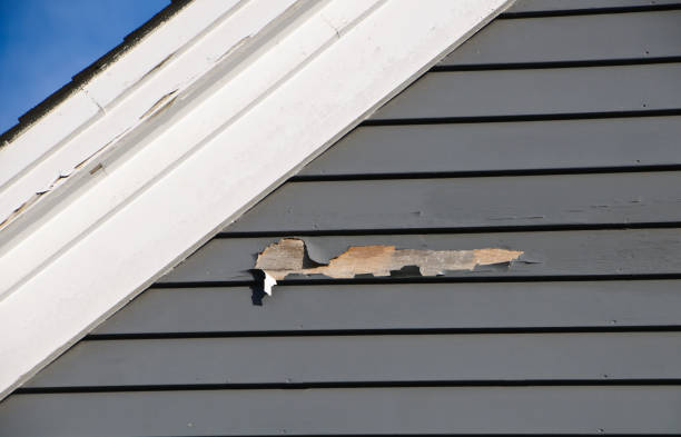 Affordable siding repair and maintenance services in Cheboygan, MI